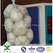 Normal White Garlic 5cm 500gram Small Packing